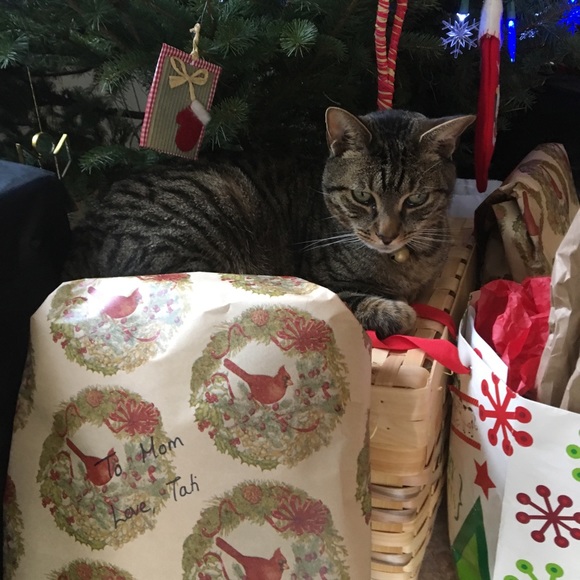 Meet your Posher, Tatiana - Picture 1 of 1